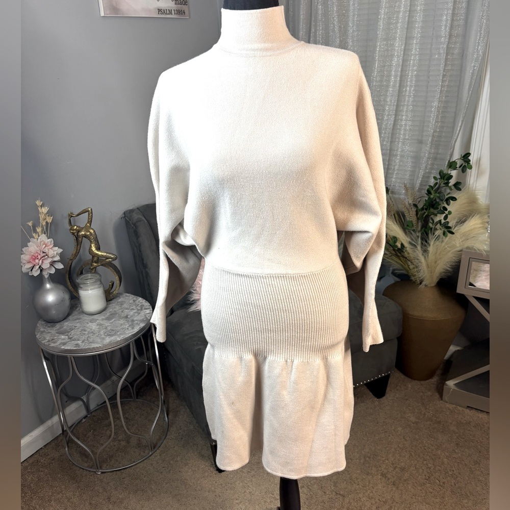 Tan turtleneck, long sleeve Zara Sweater mini dress
